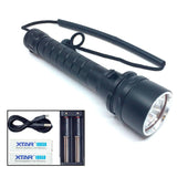 Ravlygte AmberExpert™ XLC5 kraftig 50W UV-rav-lygte
