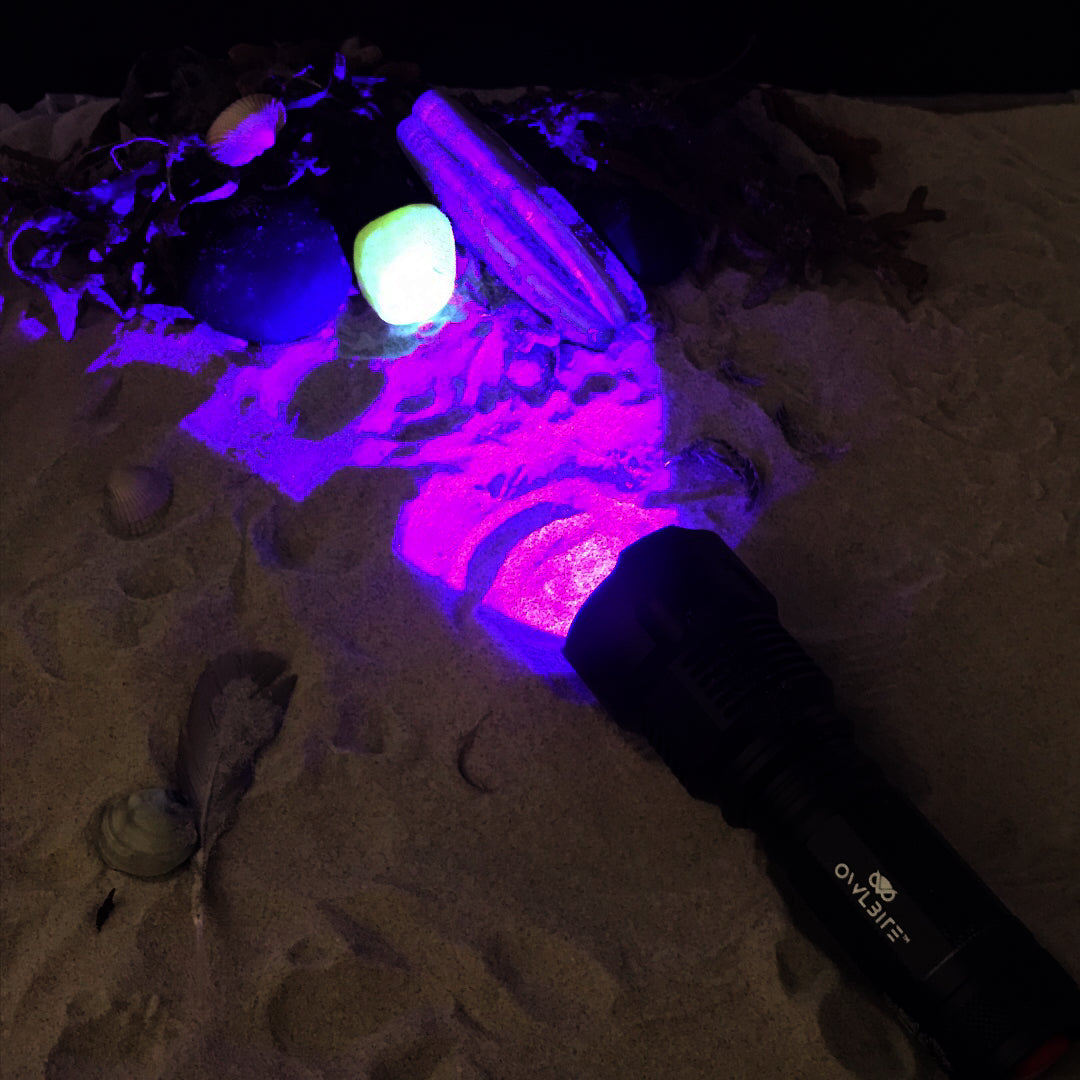Ravlygte som både fungerer UV lampe og almindelig LED lommelygte Militar.nu