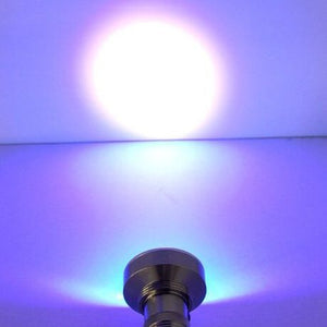 Rav-lygte - Billig 100 UV-LEDs | Ravlygte til ravjagt