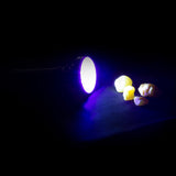 Ravlygte professionel ravlampe OwlBite® PRO UV-rav-lommelygte
